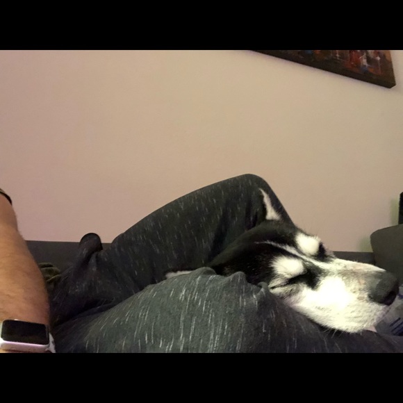 Meet your Posher, Keith - Picture 1 of 1